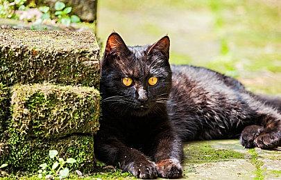 《地球防卫军6》最新系统情报公开 2021年年末发售